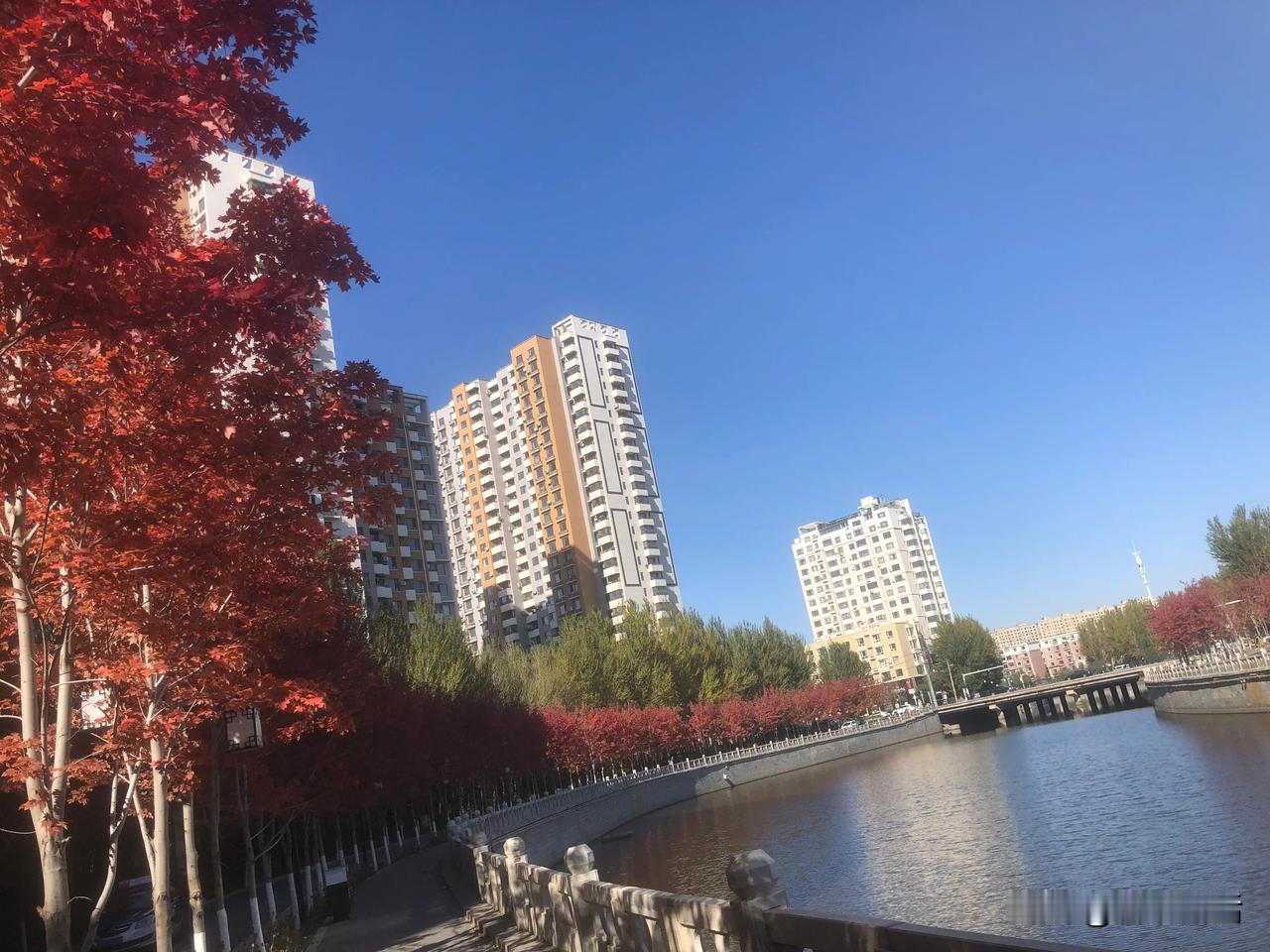 但她是好多人的根，承载着他们的幸福和梦想。