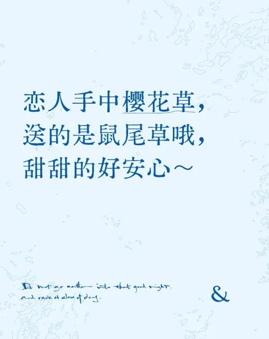 恋人手中樱花草，送的是鼠尾草哦，甜甜的好安心～奖励