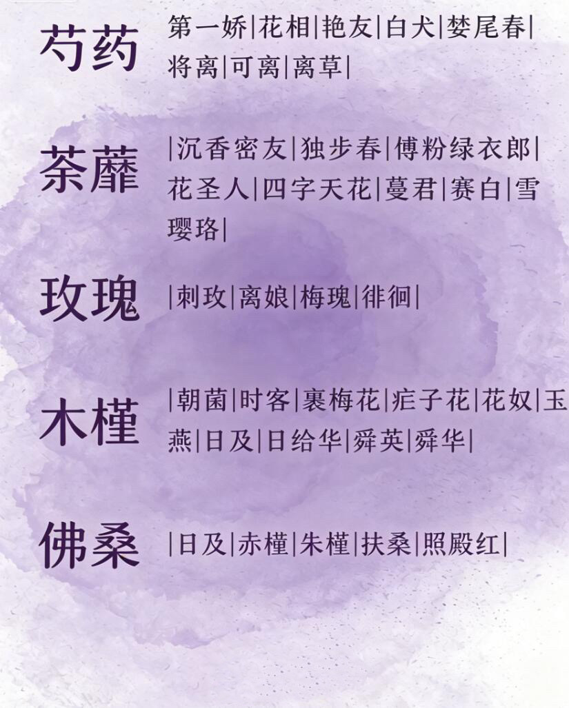 30种花的绝美雅称 