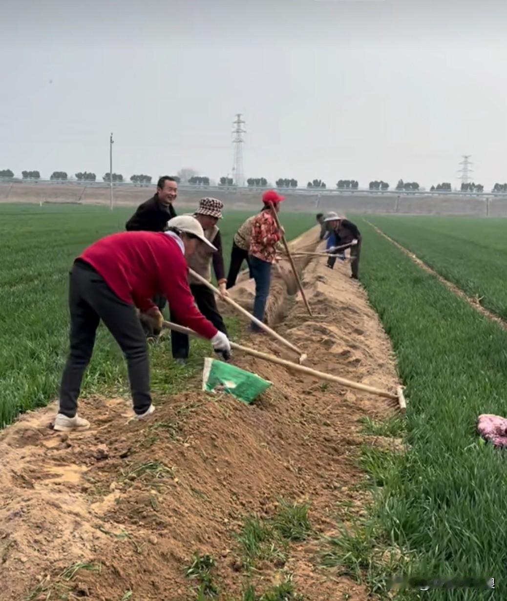 眼下小麦正值返青后的拔节期，为解决村民浇地难的问题，村里大搞农田基本水利建没，在