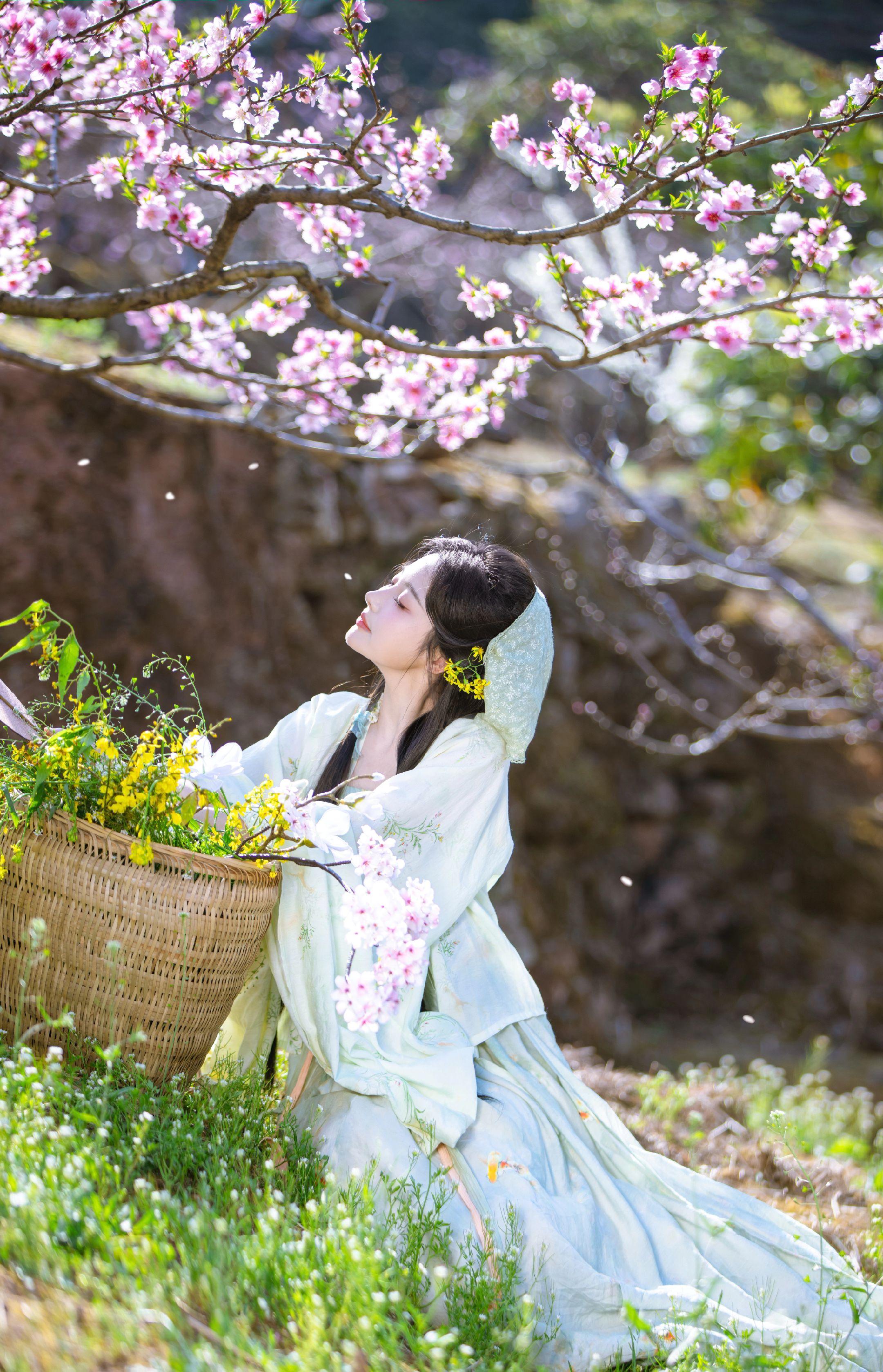 桃花依旧笑春风。