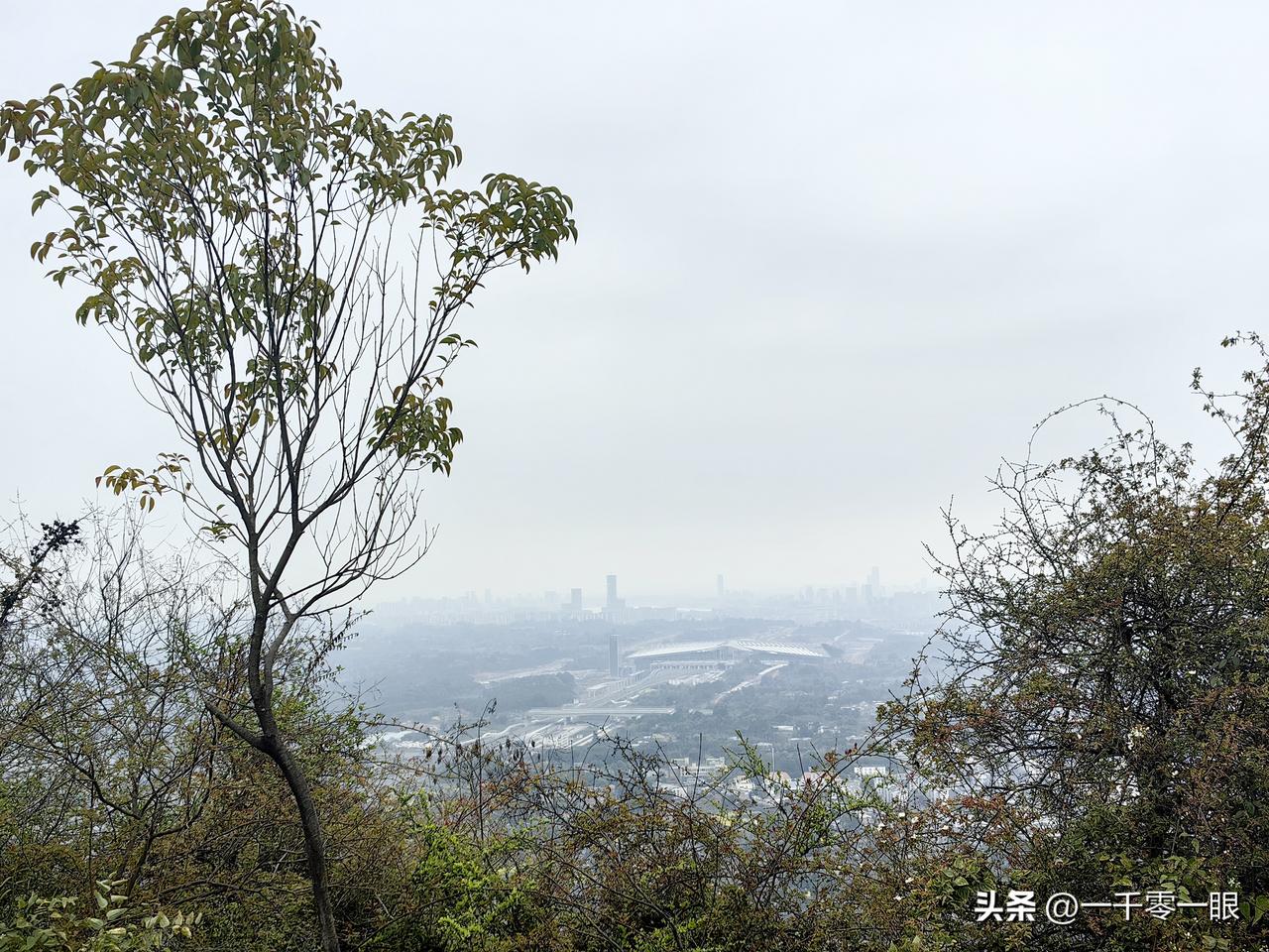 天府站大鹏已经展翅，恍惚还能看到自贡端已经挂上的“天府站”3个红色隶书大字。以后