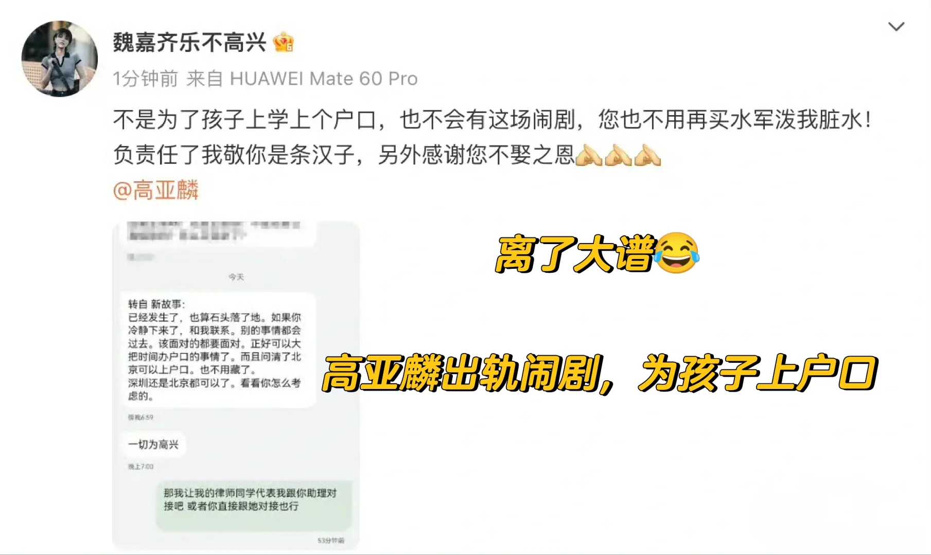 离了大谱😂高亚麟出轨闹剧只为孩子上户口