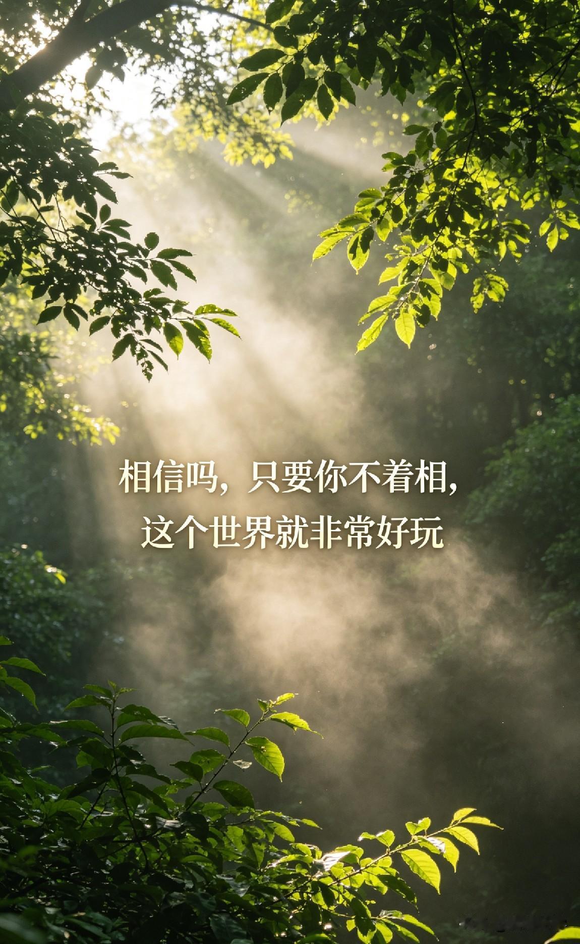 相信吗，只要你不着相，这个世界就非常好玩

《金刚经》有言：“凡所有相，皆是虚妄