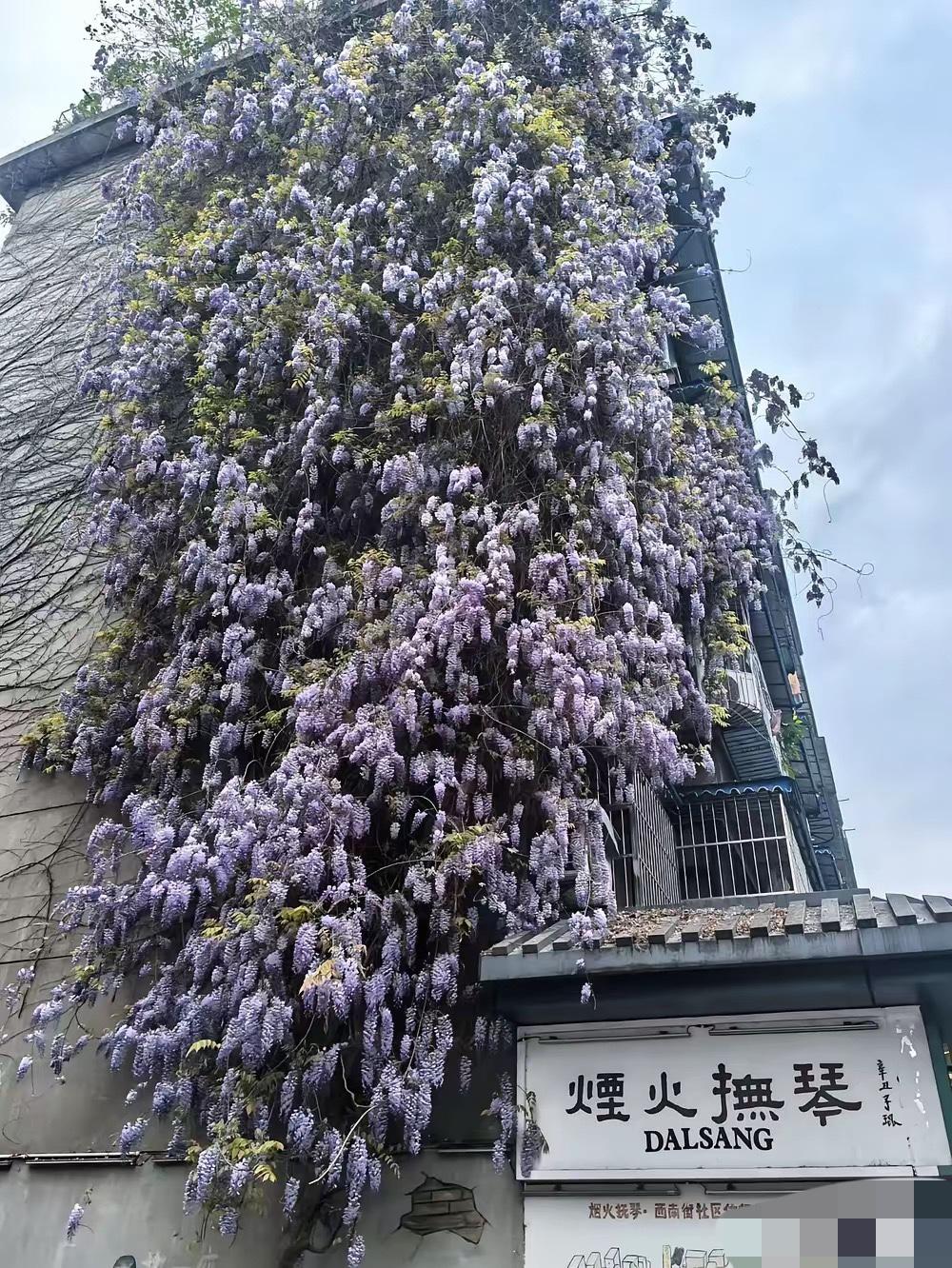 我堂哥买车，爷爷奶奶一次性给了他23万，而我，这么多年来，爷爷奶奶一分钱没给过我