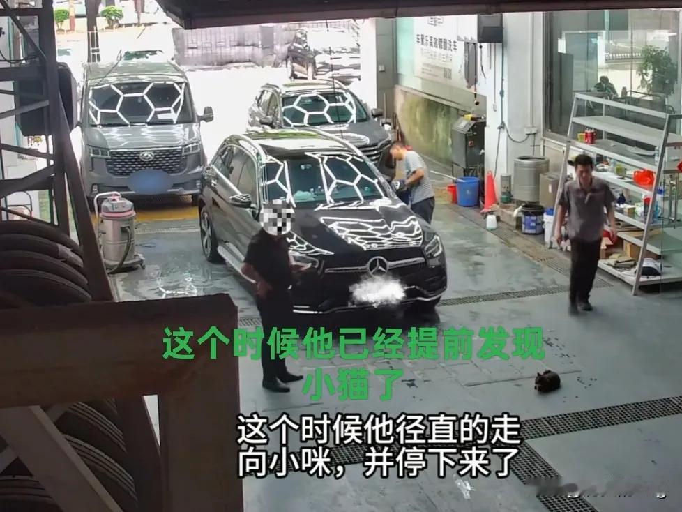 广东。
男子到洗车店洗车，看到猫妈妈躺在地上，特意转动方向盘，把轮胎转到正好能轧