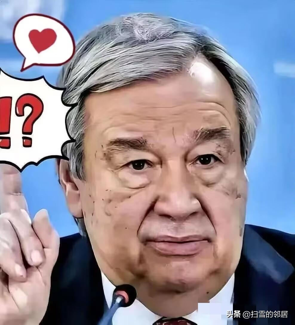 联合国里，终于来了个狠人。
 一个叫阿尔巴内塞的女人，当着全世界的面，把一份报告