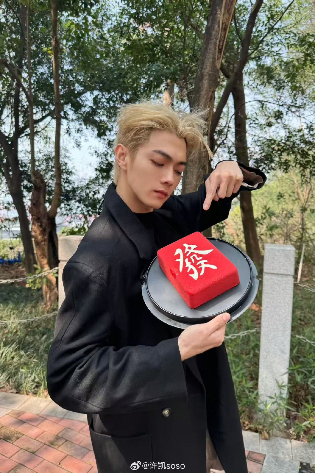 许凯發生日蛋糕许凯发财蛋糕 许凯發生日蛋糕 