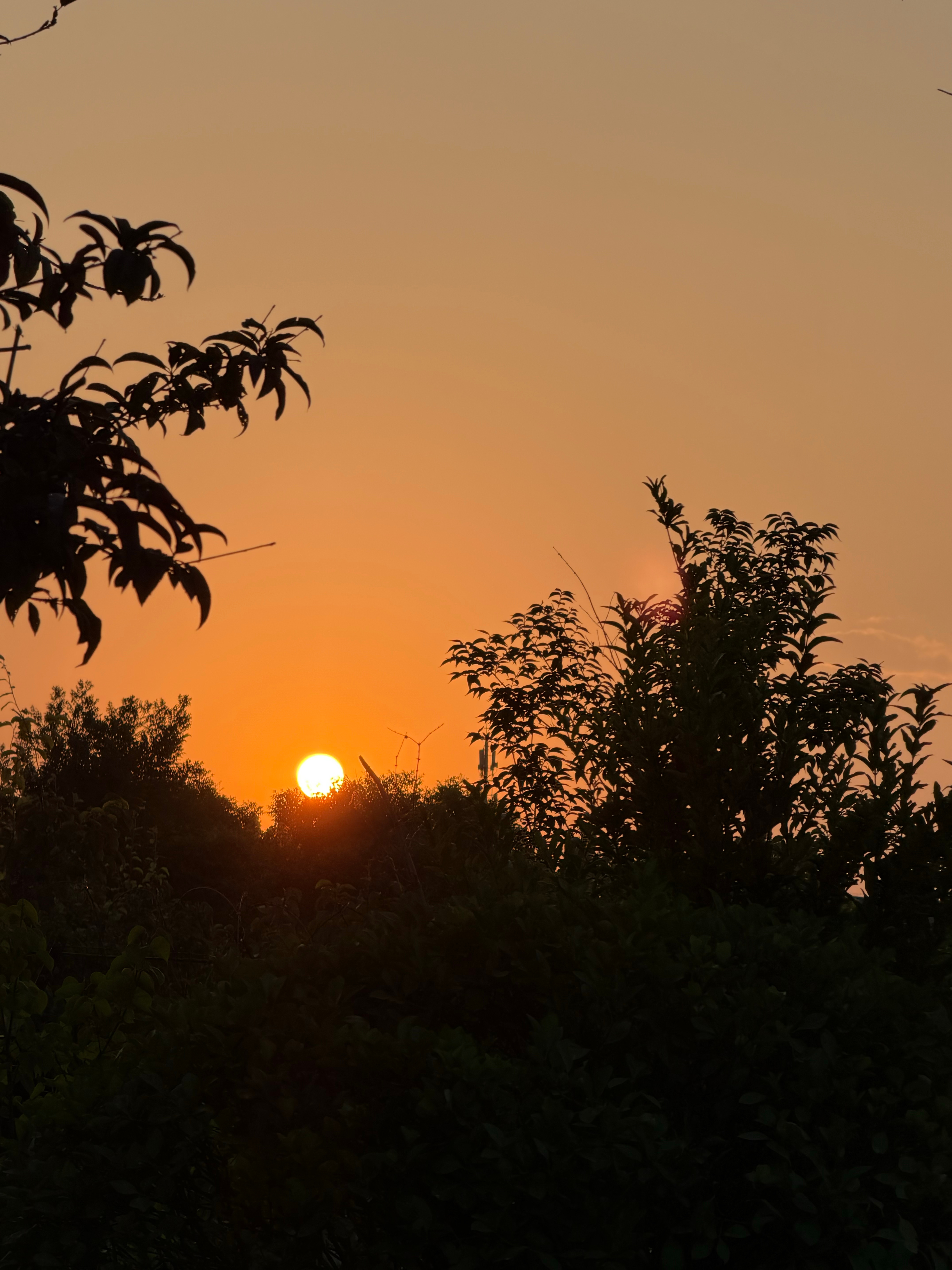 充实的拍摄结束，抬头就看到绝美夕阳。🌇 