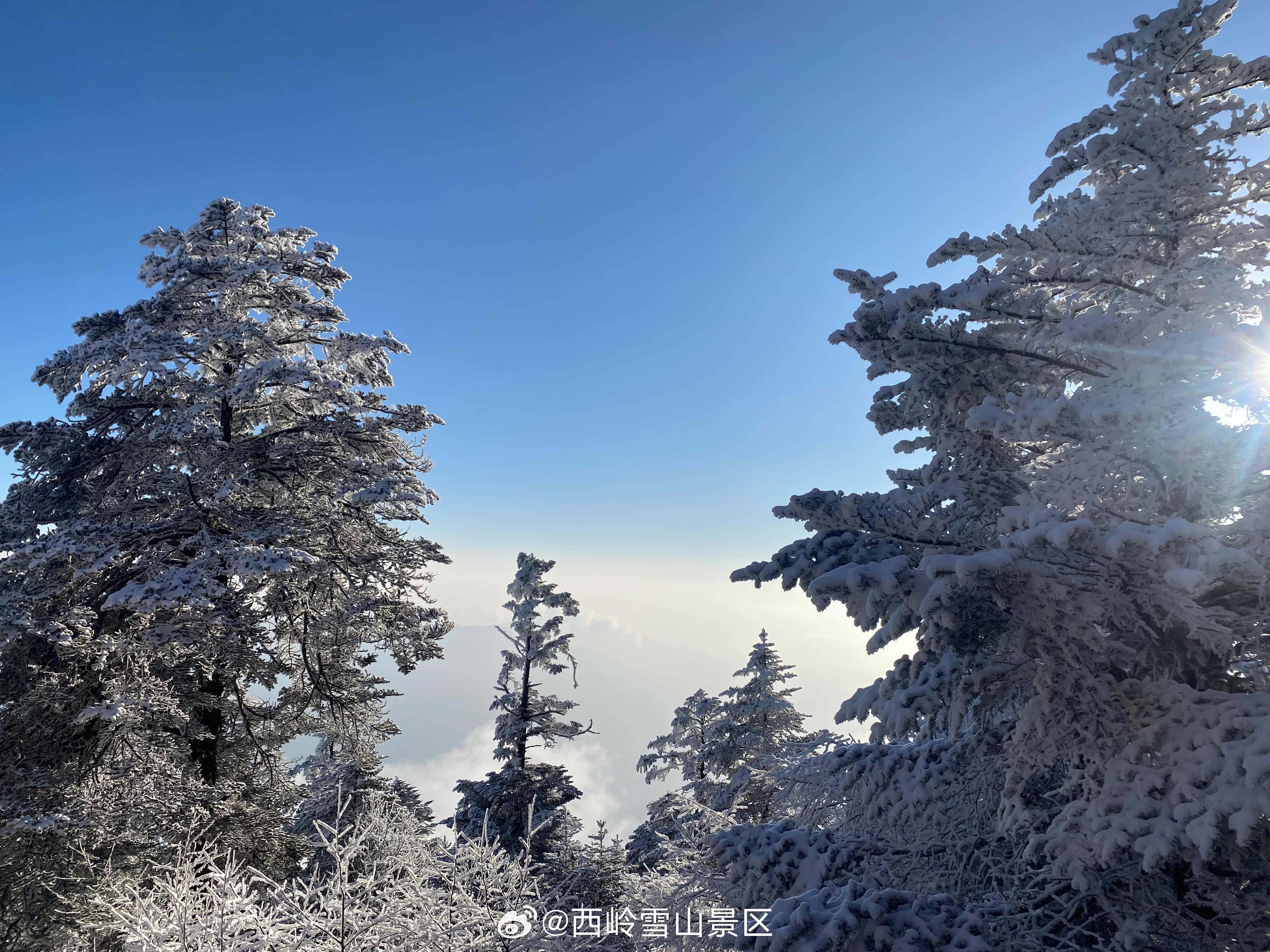 冬日仙境，美不胜收！❄️#雪山##雾凇##自然风光# ​​​