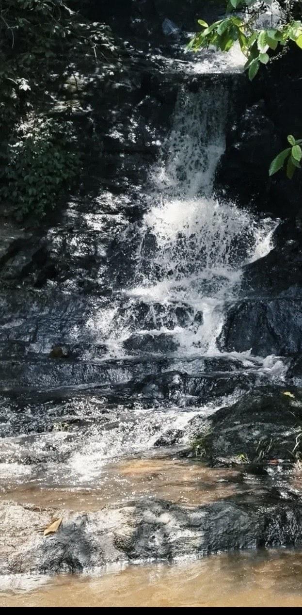 雷琼地质公园藏着小瀑布！爬山降温绝了
📍海口 雷琼世界地质公园-山间小瀑布前