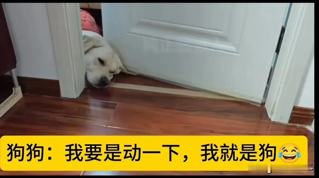 今天是肿么回事，商业街那里的店面，从上午到下午都是一堆外卖小哥……

今天的天气