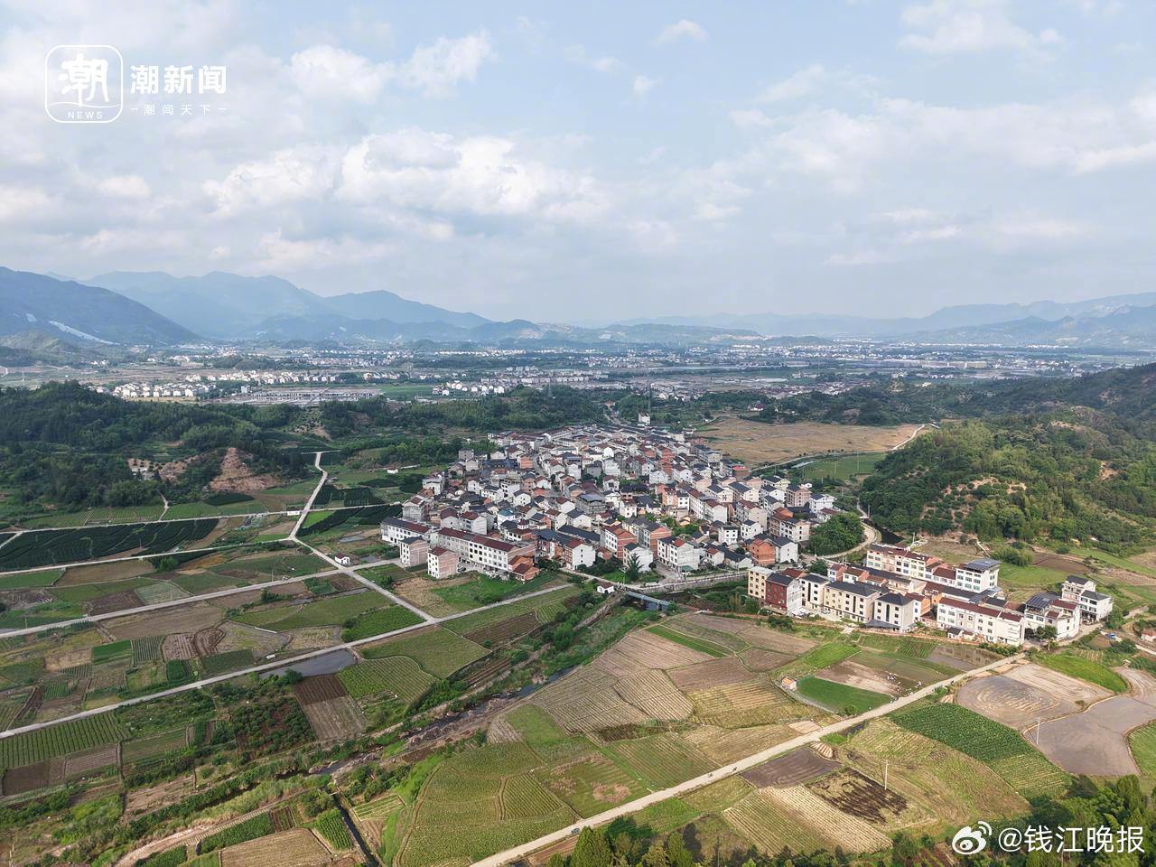 #7旬梅农杨梅季午夜上山天亮下山#【浙江七旬梅农的杨梅季：午夜上山，天亮下山，把
