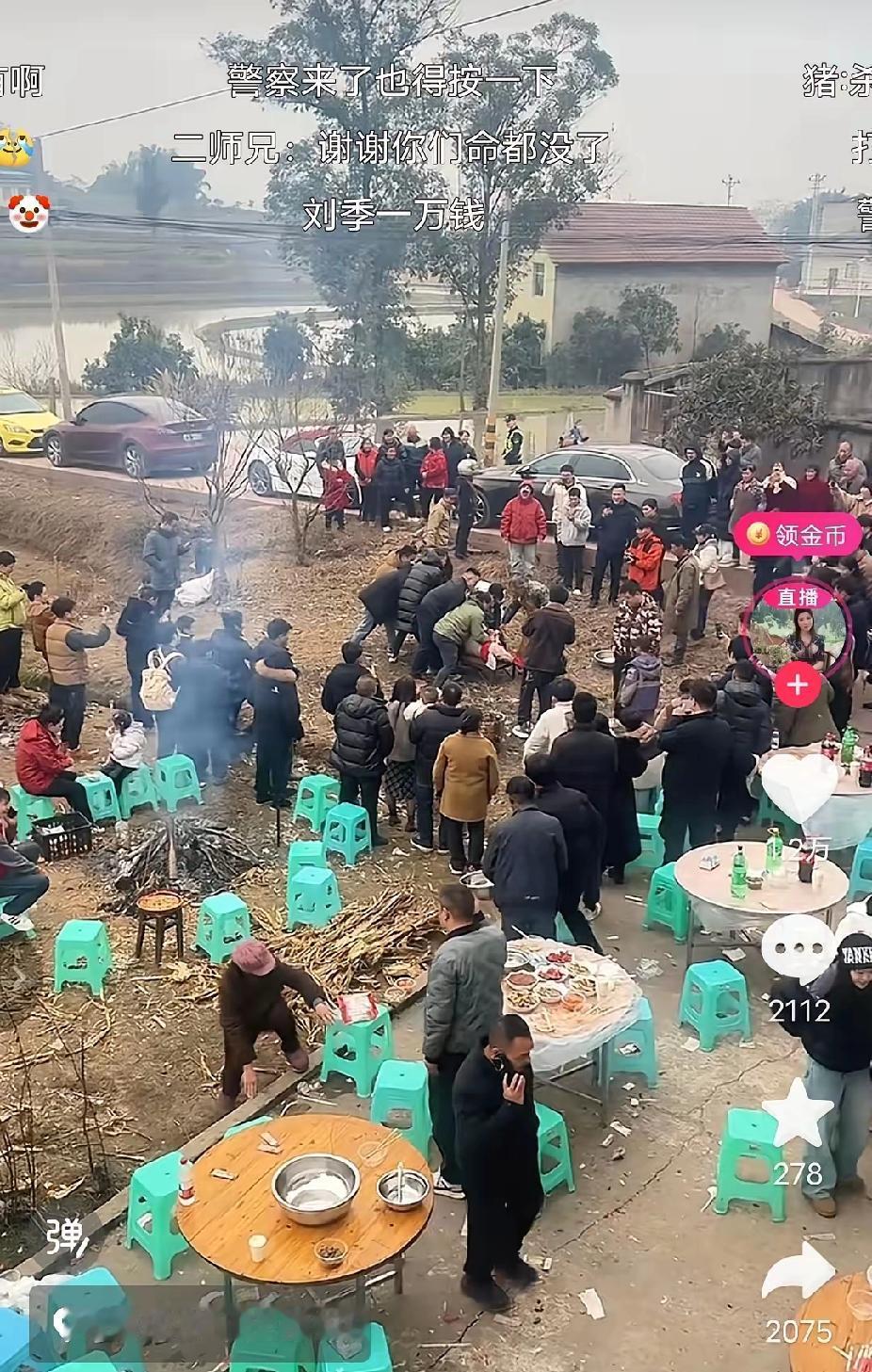 重庆合川呆呆家的盛况还在继续，估计呆呆家的门槛都被塌烂了，据呆呆称现在有3-4百