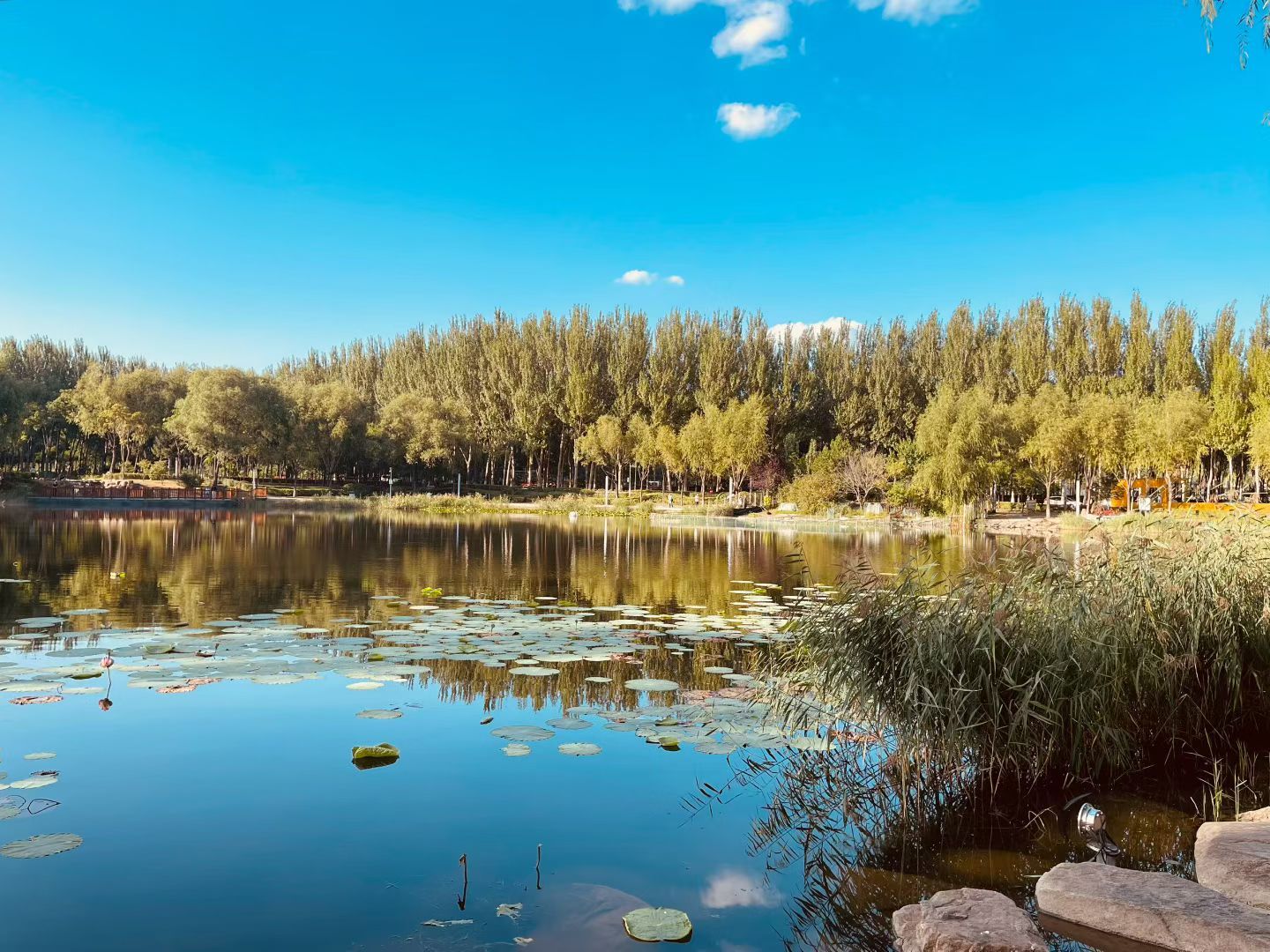 早安[超话] 🔆| ᴍᴏʀɴɪɴɢ〰日子不紧不慢，生活不慌不忙，风携温柔，光藏