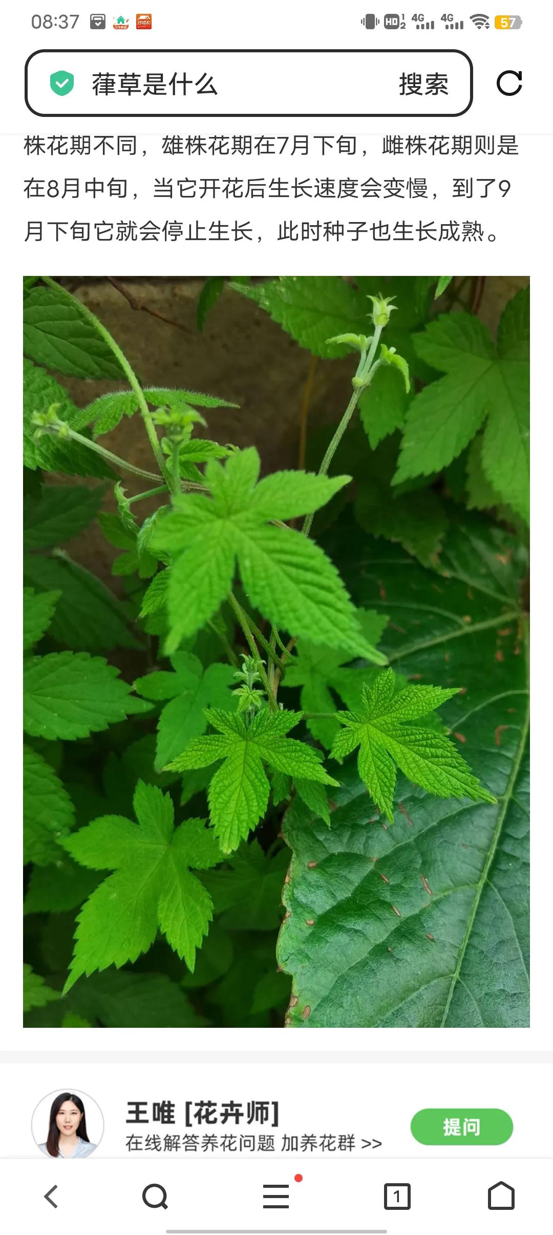 前几天闺女班主任又打电话说，我家闺女心脏难受呼吸不顺畅让我们带着去医院看看，可前
