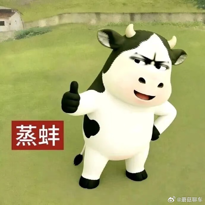 问界M6正式开启预订26.98万元起全系标配896线双光路图像级激光雷达诶，怎么