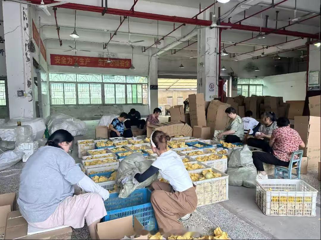 丽水松阳客货邮助农共富路 松阳邮政与供销社首次联手，开展三都仙桃专场直播。依托供