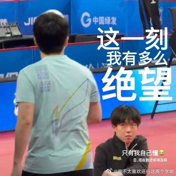 王楚钦 王楚钦你放心，樊振东会笼罩你的一整个职业生涯