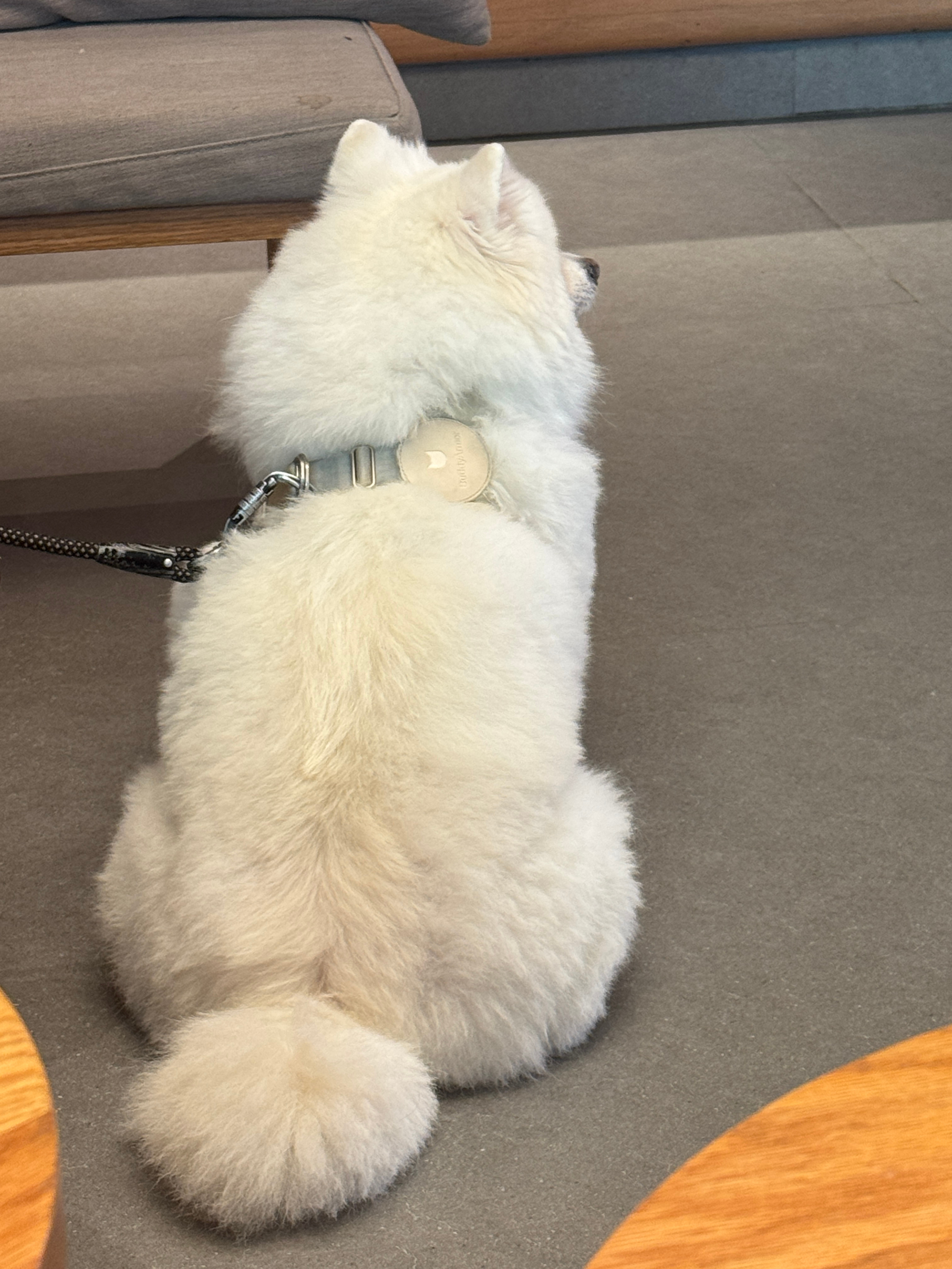 喵🐈 ​​​