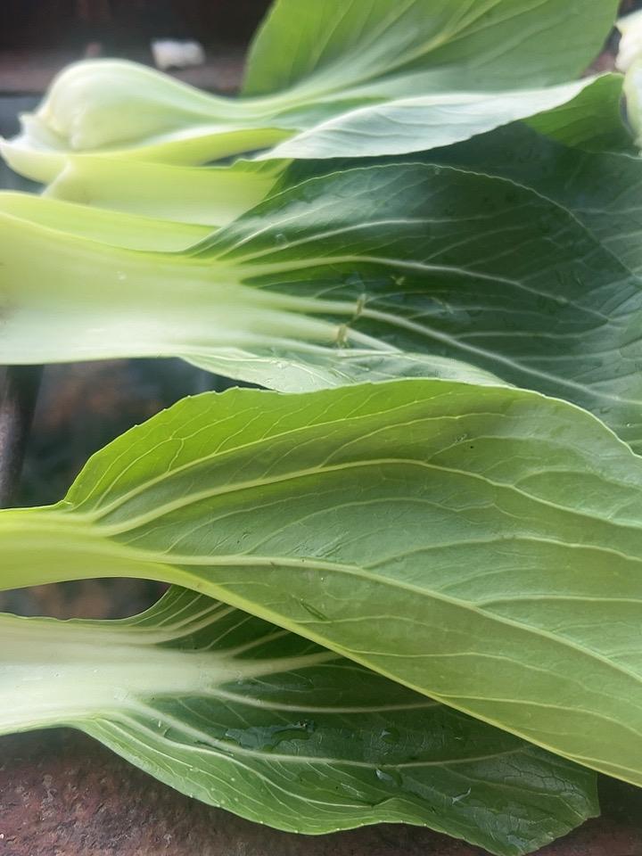 昨天只更新了两篇文案，
211同学私信我。
是不是我被威胁了。
“真爱粉”内涵我