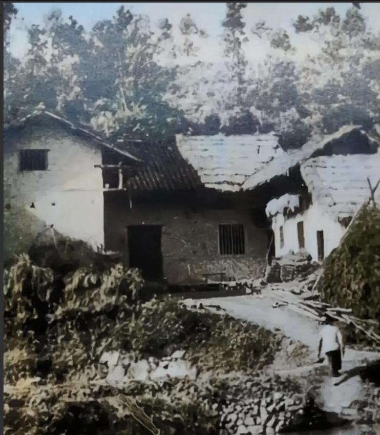 在那遥远的五十年代初期，一幅未被时光雕琢的原始画面静静躺在历史的相册中。那是一处