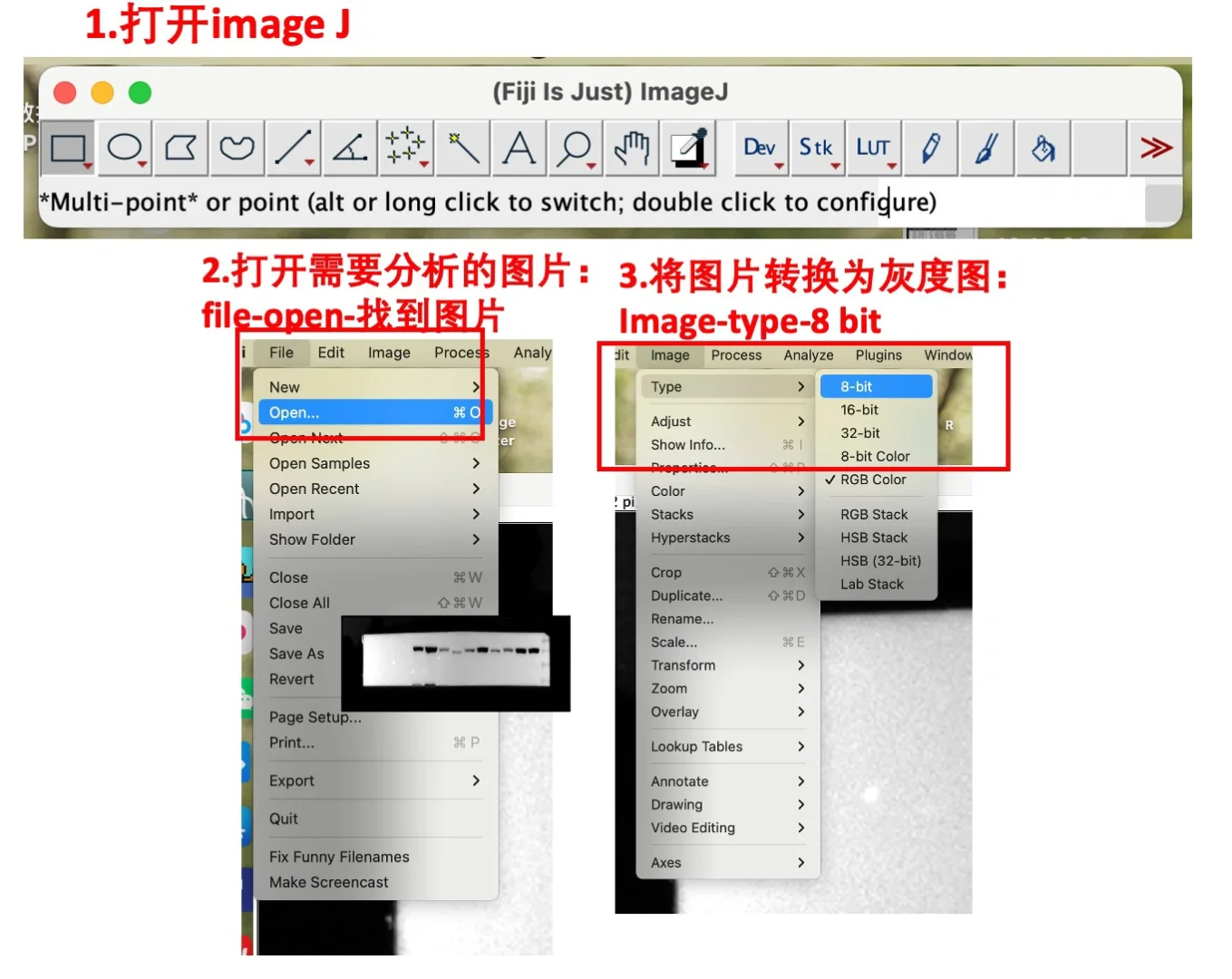 Image J如何灰度分析？看这篇！
