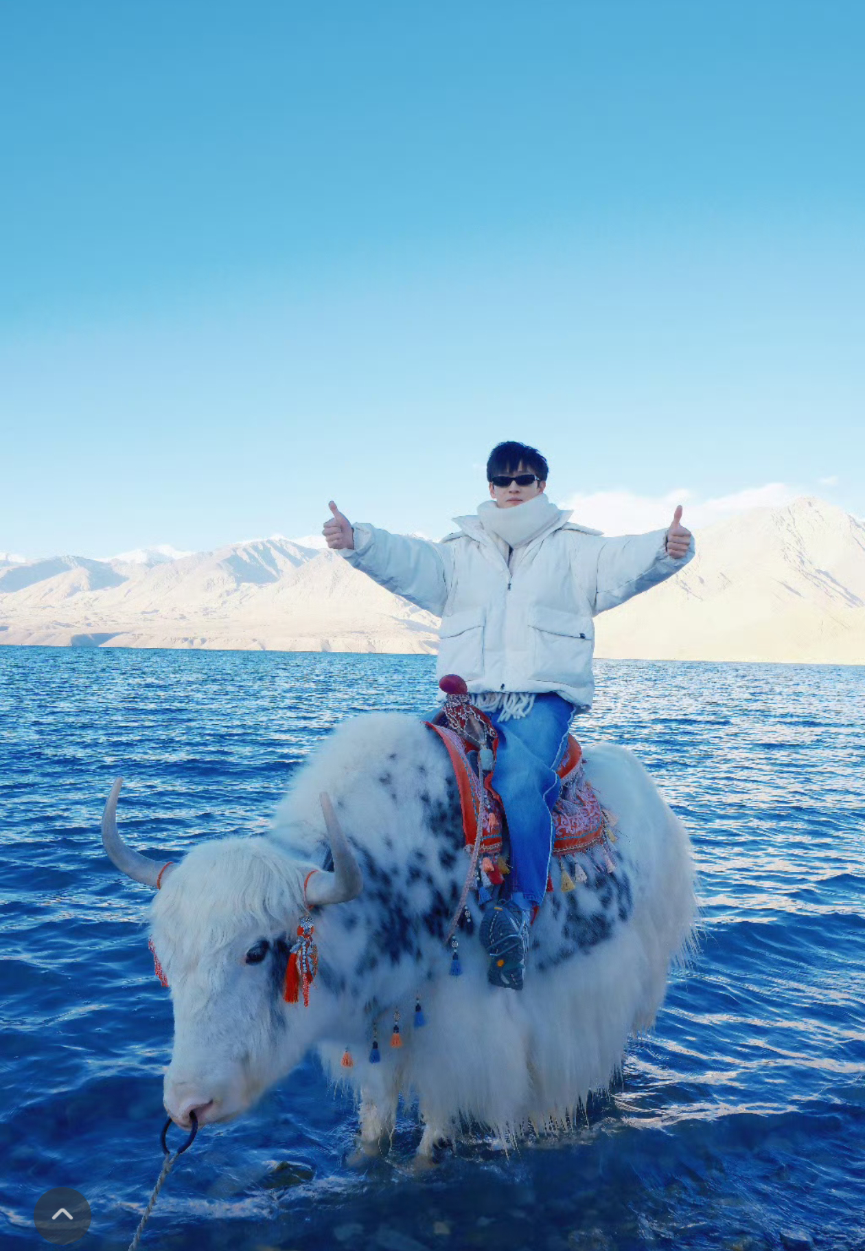 李昀锐骑牦牛牛不冷手机冷我们小林的手都耳朵冻红了   牛牛的爪爪在水里也冷   