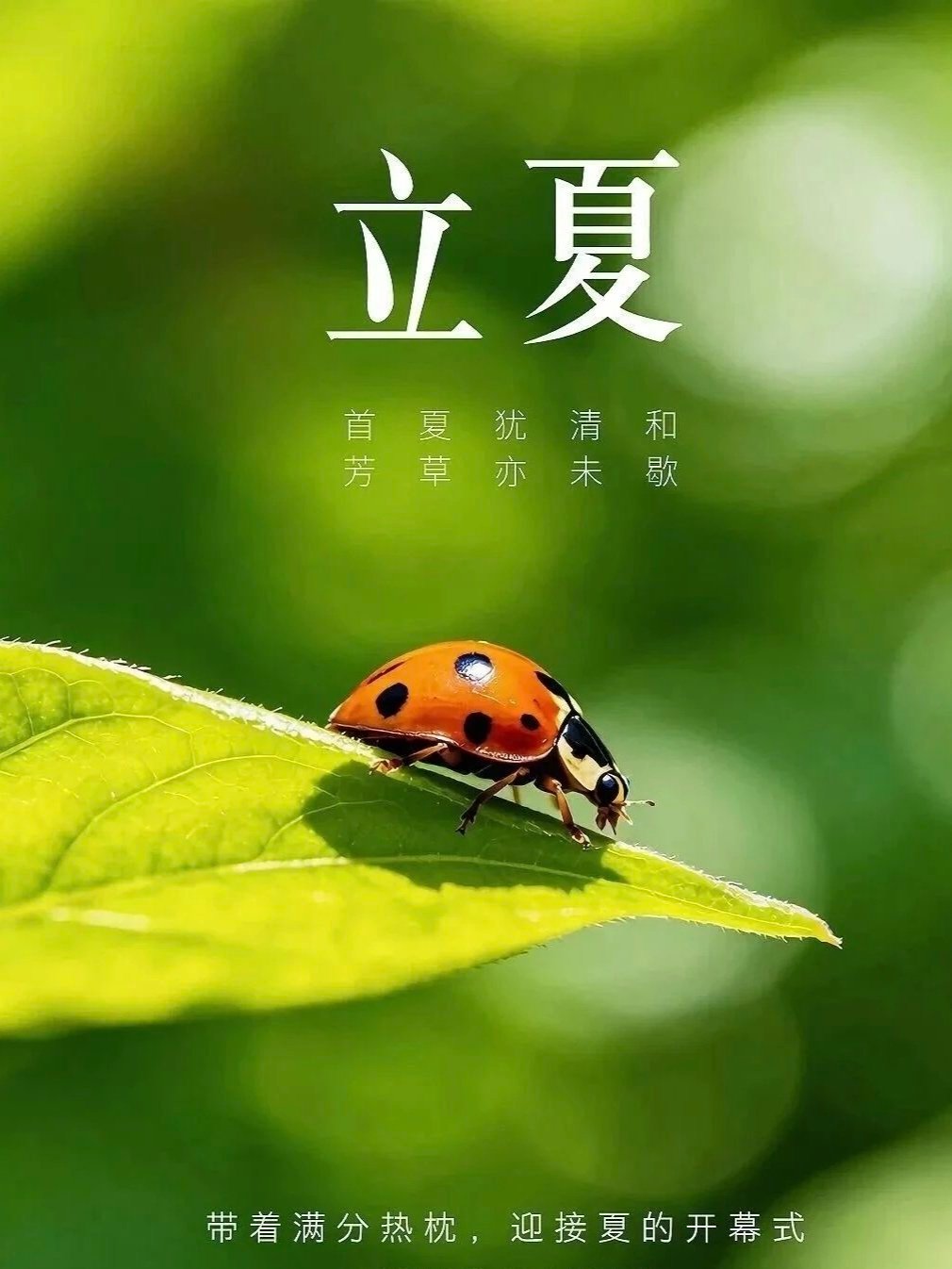 立夏，是新的开始，也是新的期待。愿这个夏天，有人陪你吹晚风，有人与你共赏夏夜星河