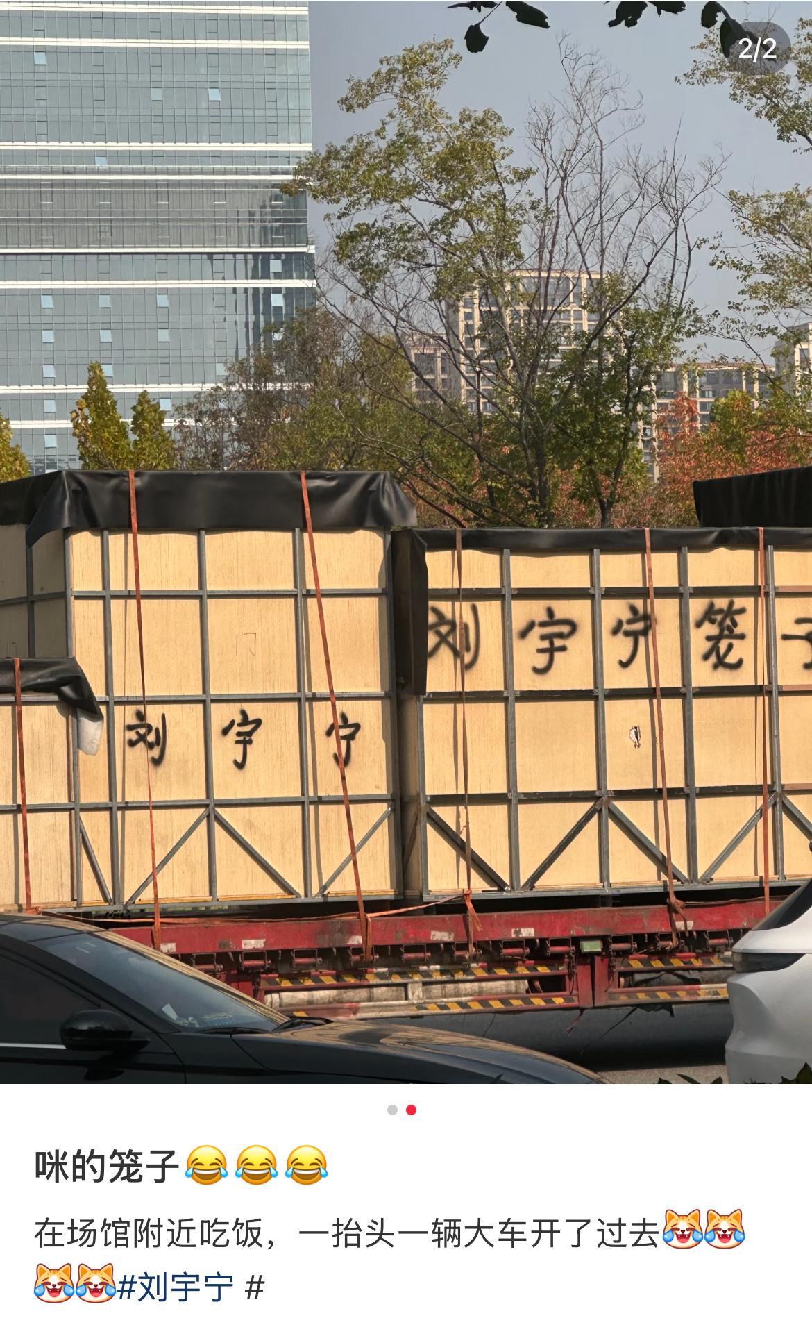 这对吗这对吗哈哈哈哈刘宇宁笼子装刘宇宁的笼子 ​ ​​​