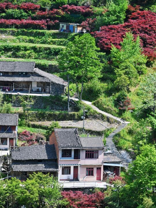 在宁波，我找到一条冷门的溪水古村徒步路线