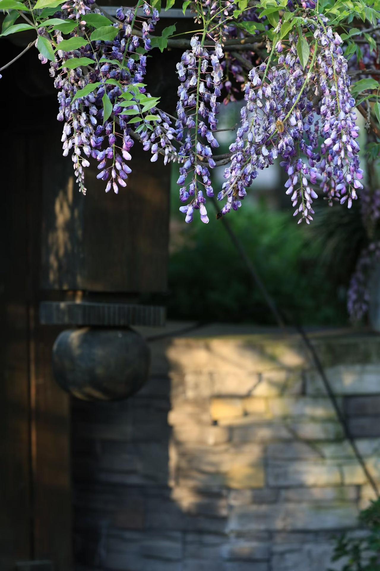 早安，昨夜美伊谈崩，霍尔木兹海峡又封了，A股今天又要承压了，现在的消息一天一个样