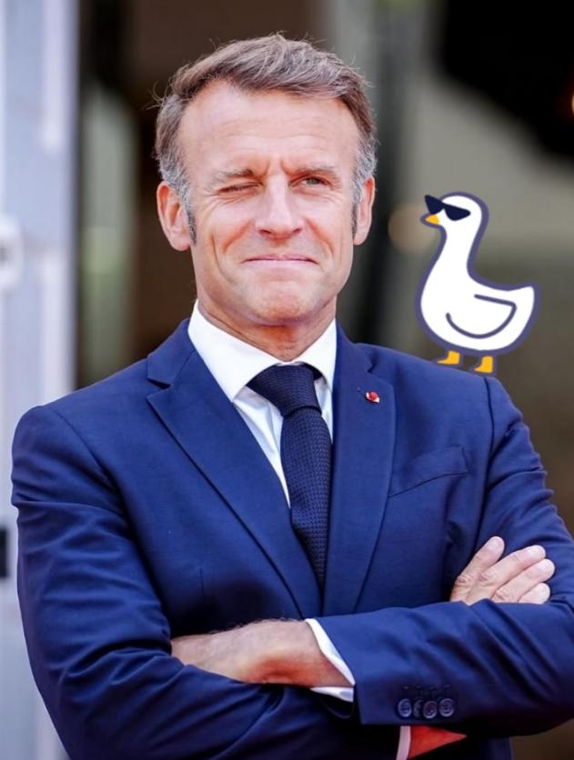 中国没想到，
美国更没想到！

马克龙公然呼吁东方大国加大对欧洲投资，说欧洲工业