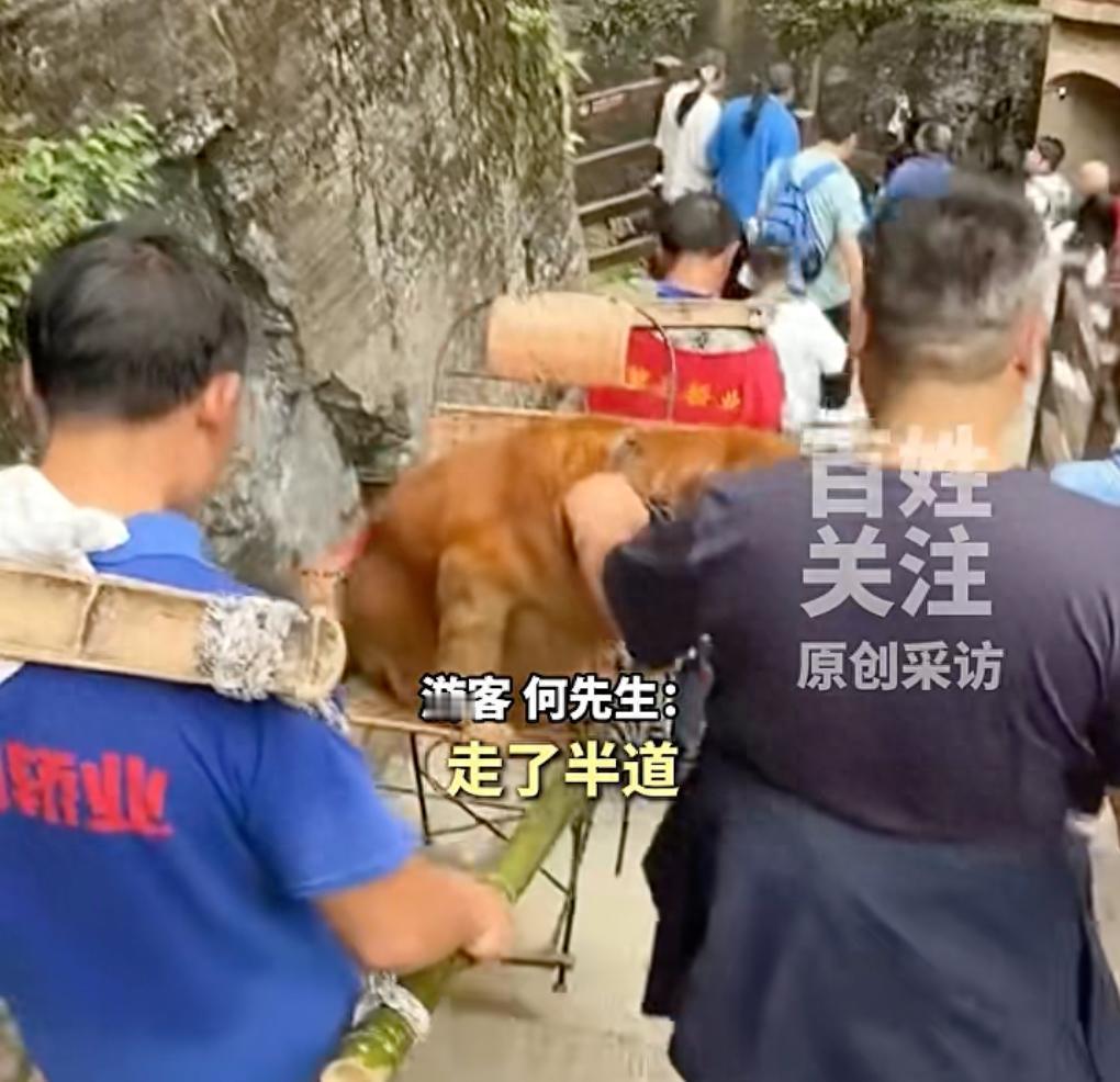 湖北恩施大峡谷，游客偶遇轿夫抬滑竿，上面坐的不是老人也不是小孩，而是一只毛茸茸的