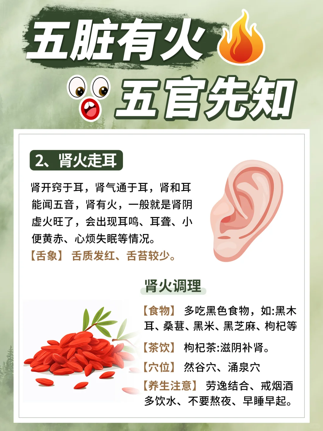 五脏有🔥，五官先知❗️