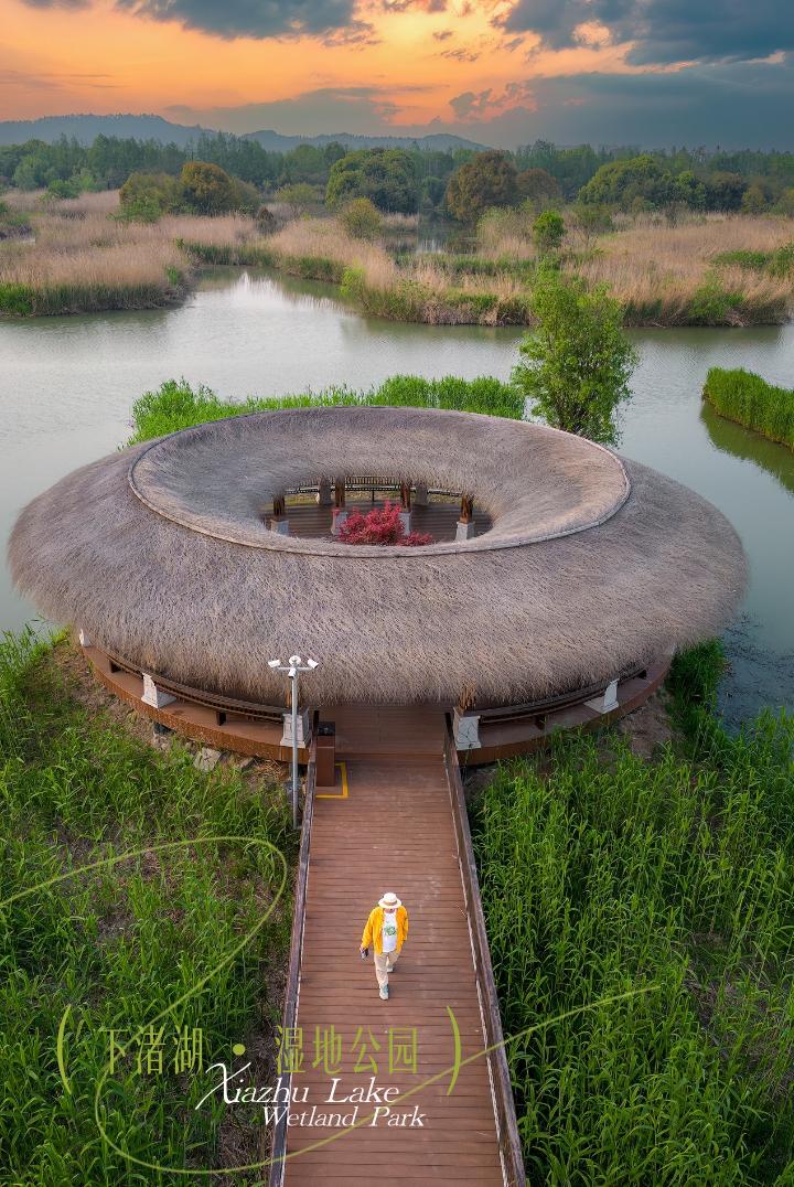 春假五一来湿地赏花观鸟、溜宠喝茶。当浙江春假撞上五一黄金周 正是来下渚...