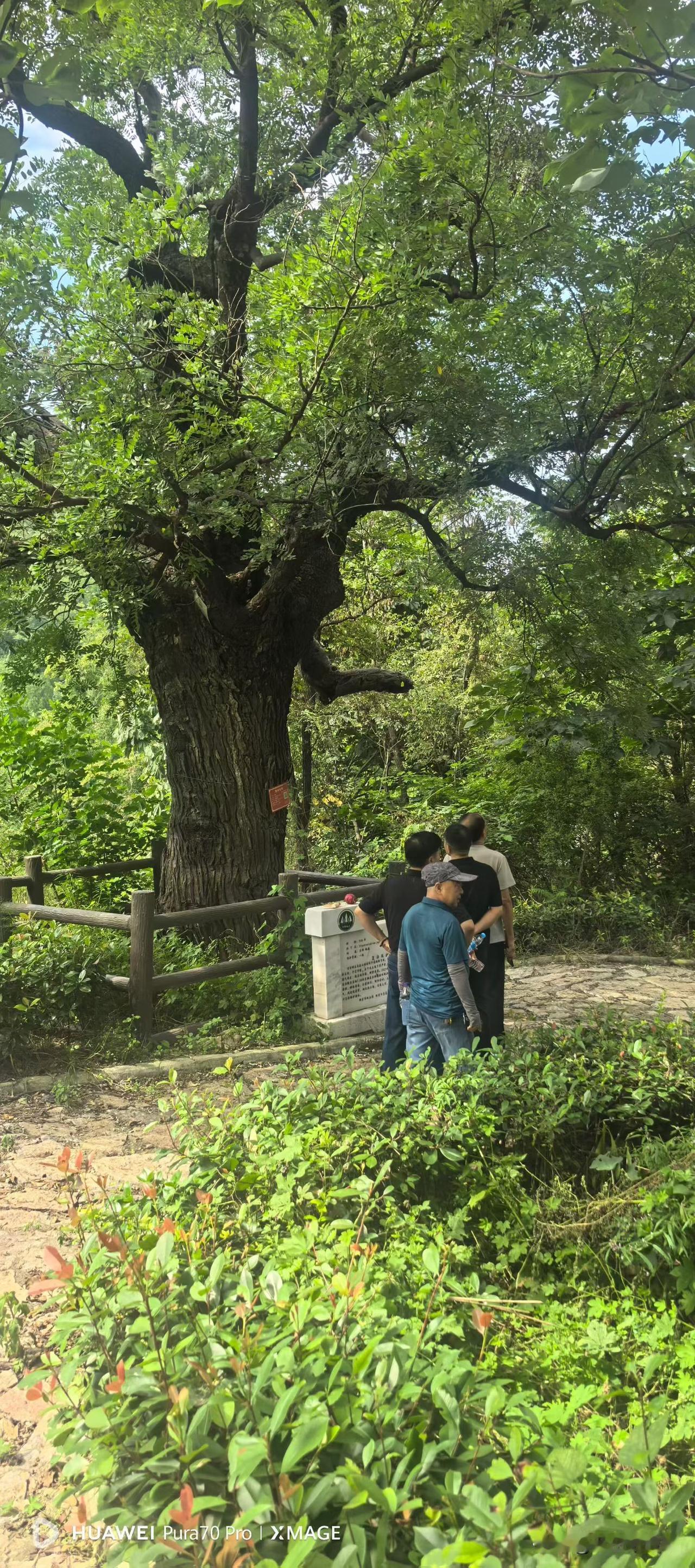 路遇奇葩事儿:
昨天晚上回来路上，在一路口遇到一个喝酒骑电动车男子和另外一个骑电