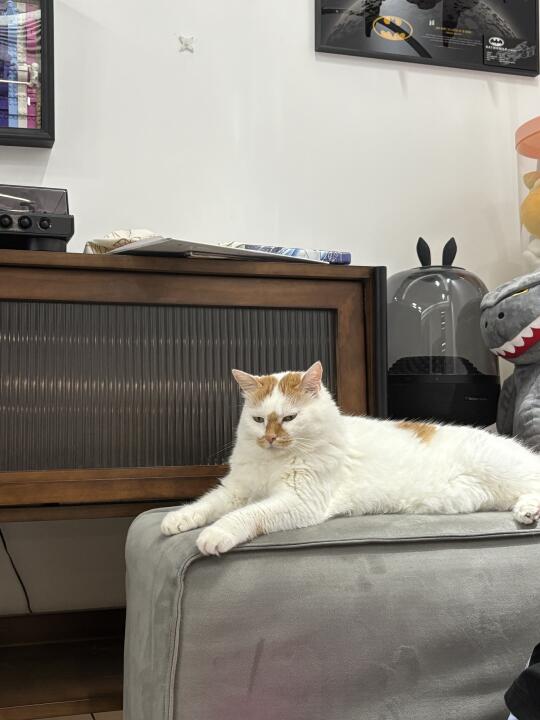 他好像有什么心事