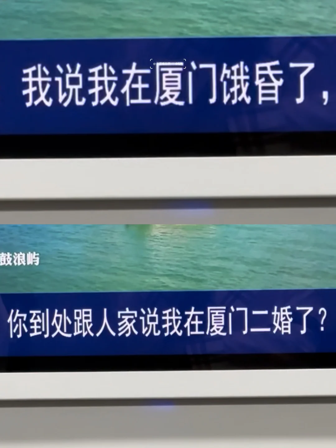 厦门树洞好癫好好笑啊哈哈哈哈