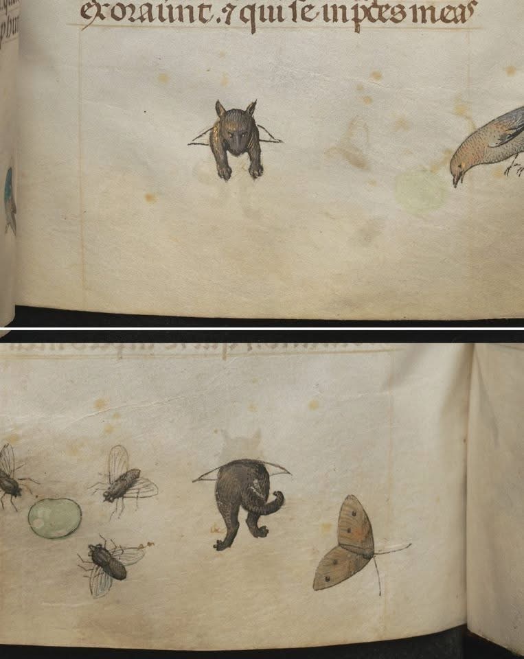 15世纪弗兰德地区的时间之书Book of Hours，创作者是僧侣，因为每天在