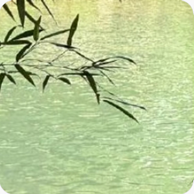 每日一善阳光信用｜每日一善心存善念，阳光就会照耀你； 心存美丽，温暖就会围绕你；