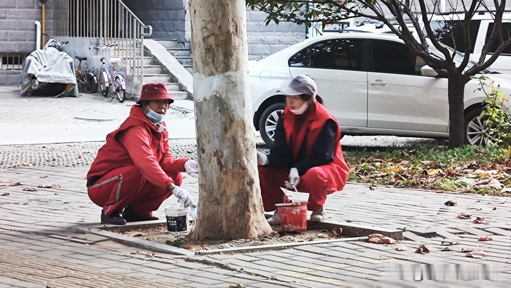 ​
这事儿挺有意思。表面看是捡垃圾，背后其实是普通人在生活夹缝里找亮光。
​
商