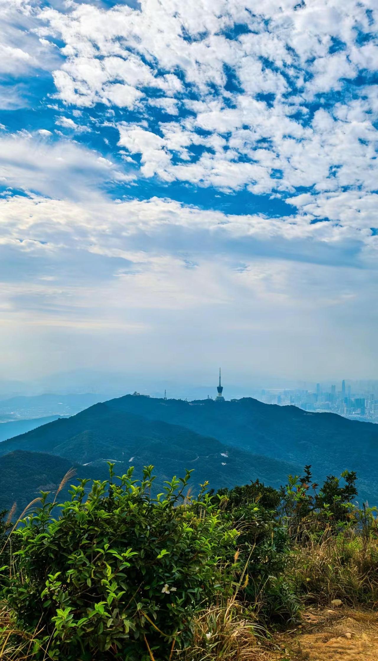 不要门票，有一定的难度，推荐新手从正门走盘山公路，小梧桐看日落的好东西、豆腐头可
