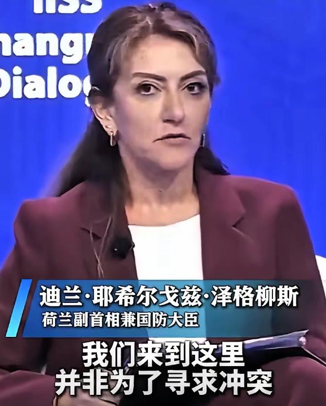 真硬气！31号“香会”期间中国代表刘万侠大校现场向荷兰副首相兼国防大臣迪兰·耶希