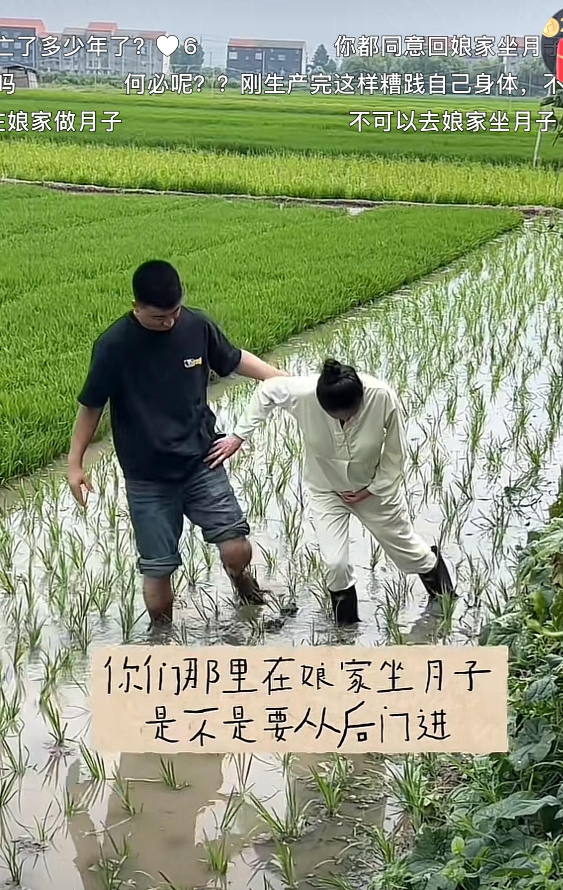 剖腹产后回娘家坐月子，不能从前门过，要从后门过，娘家后门还是一片插秧地，泥泞难行