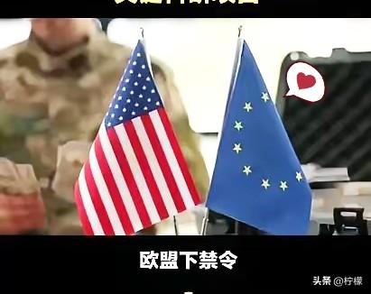 欧盟这波操作，真是又蠢又短视！历史又要重演了

欧盟正式官宣：禁止中国参与总预算