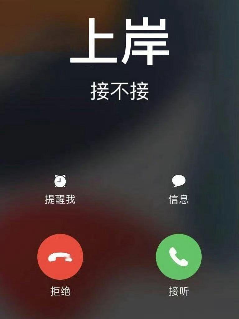 接上岸！！全都给我上岸！ 