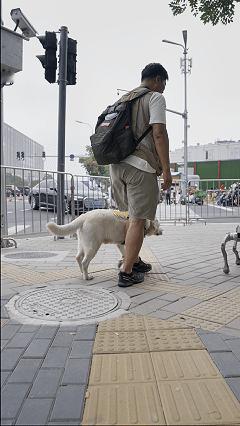 一台机器狗，在WRC现场给盲人博主当导盲犬🐕🦺 15000+台量产、300+