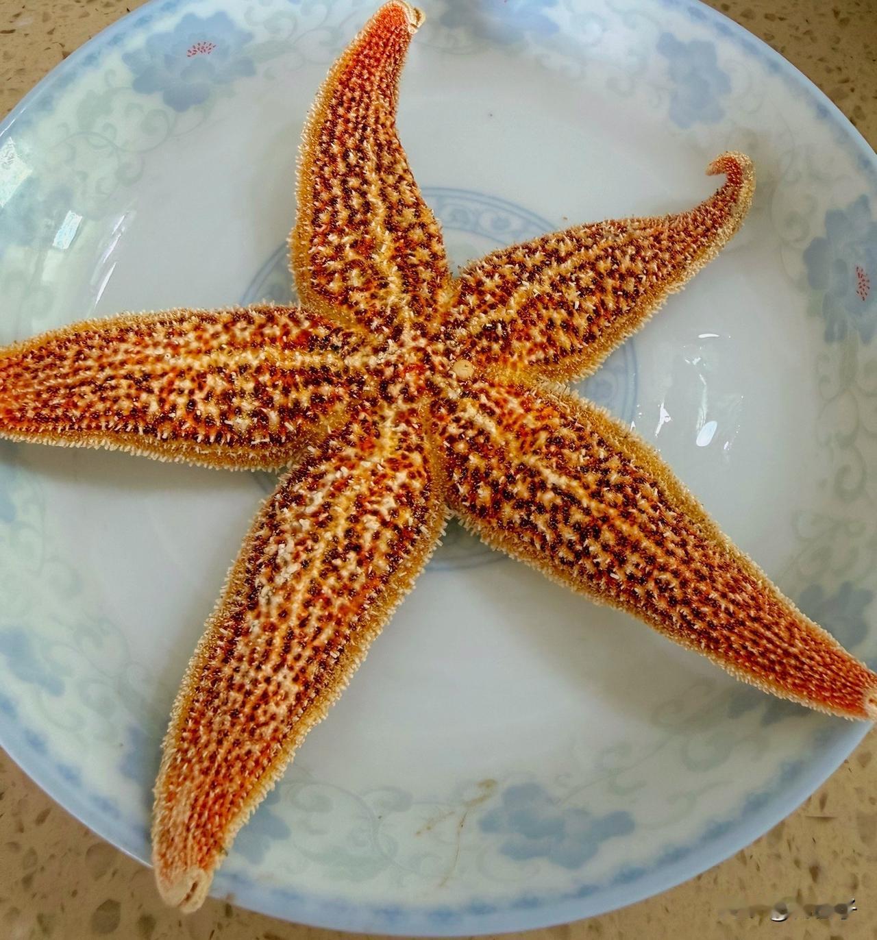 1999年在青岛第一次吃海鲜，我跟我们经理说：还不如鱼香肉丝好吃！

1999年