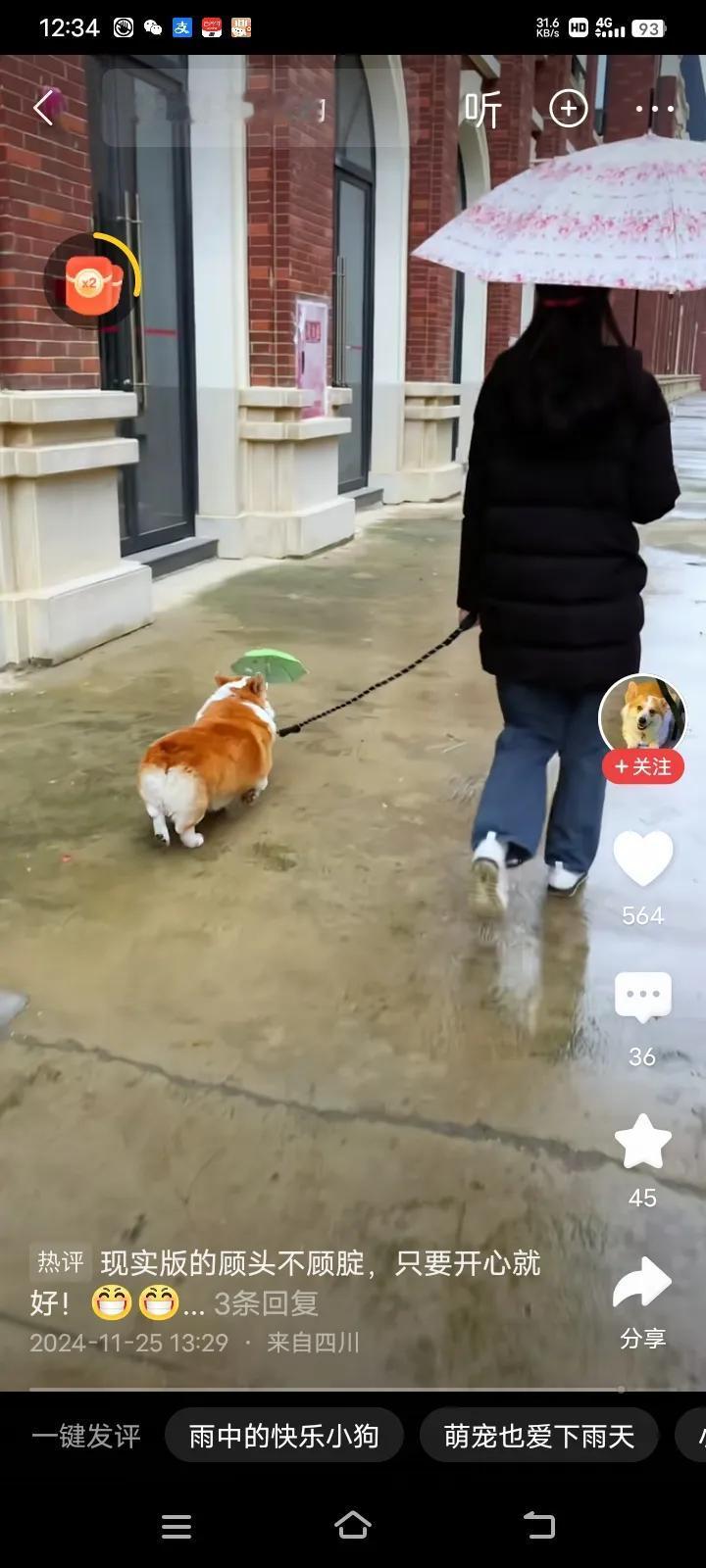 湖南农村的一个女孩子，自从大学毕业后，就一直留在外地工作，由于身在异地他乡，每天